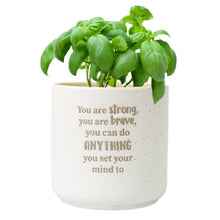 Load image into Gallery viewer, Splosh: Positive Pots 'You Are Strong, You Are Brave, You Can Do Anything You Set Your Mind To'