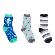 Load image into Gallery viewer, Arch-eology Kids Glow In The Dark Crew Socks Pack of 3 ~ Sock it to Me ~ Two Sizes