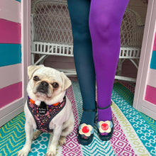 Load image into Gallery viewer, SNAG Duo Tights ~ China Haze Sz AB & D ONLY