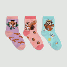 Load image into Gallery viewer, My Dear Hedgehog 3-Pack Kids Crew Socks ~ Sock it to Me ~ Two Sizes