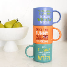 Load image into Gallery viewer, Splosh: Cheeky WTF Mug