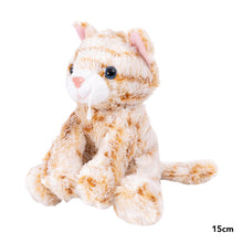 Load image into Gallery viewer, Splosh: Mary Meyers Catsy Kitty ~ Ginger Cat 15cm