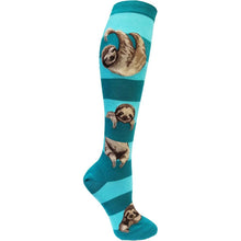 Load image into Gallery viewer, Sloth Stripe - Teal - Knee Highs by Modsocks