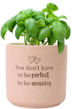 Load image into Gallery viewer, Splosh: Positive Pots &#39;You Don&#39;t Have to be Perfect to be Amazing&#39;
