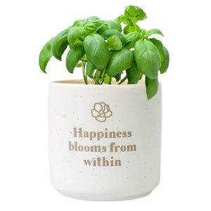 Splosh: Positive Pots 'Happniess Blooms From Within'