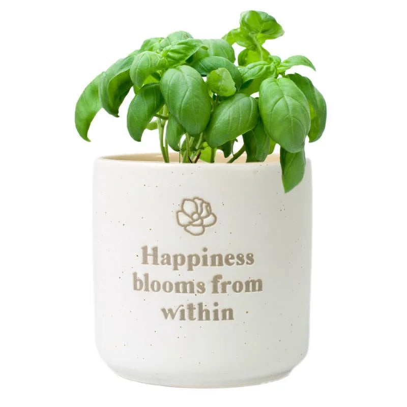 Splosh: Positive Pots 'Happniess Blooms From Within'