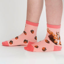 Load image into Gallery viewer, My Dear Hedgehog 3-Pack Kids Crew Socks ~ Sock it to Me ~ Two Sizes
