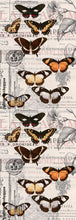 Load image into Gallery viewer, Retro Butterflies Cotton/Modal Designer Scarf
