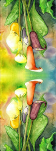 Lily Designs Cotton/Modal Designer Scarf