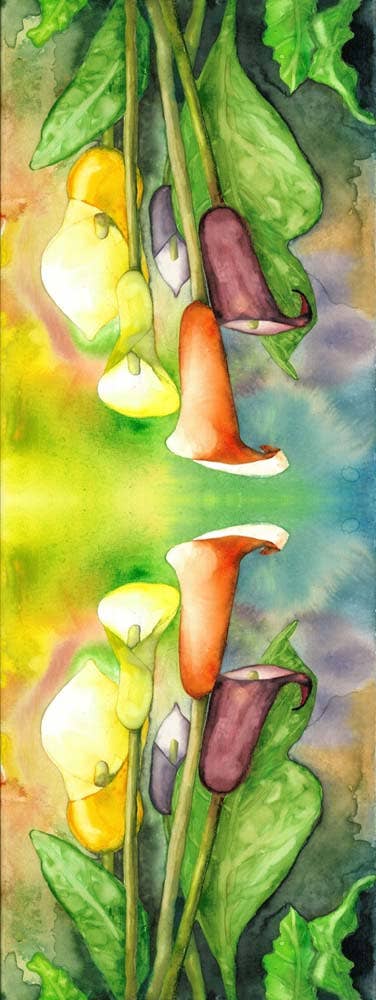 Lily Designs Cotton/Modal Designer Scarf